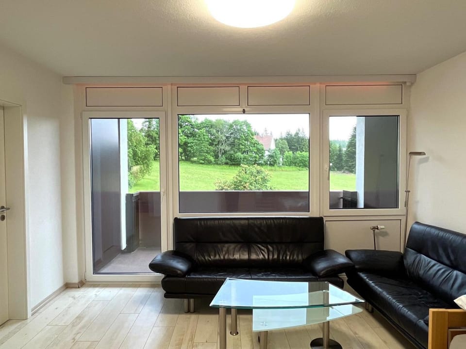 Kniebis pur Apartment in Ortenau