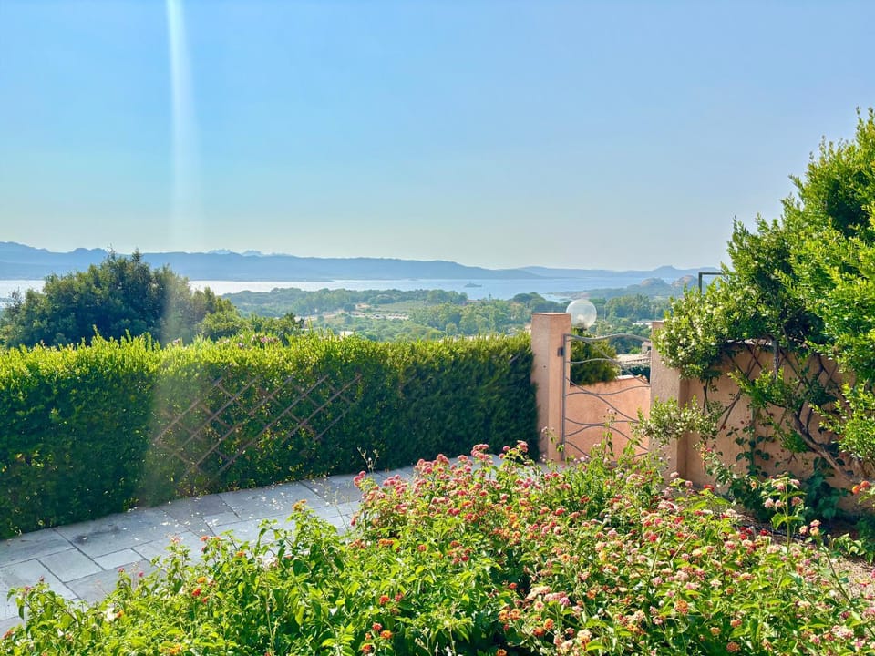 Natural landscape, Garden, Sea view