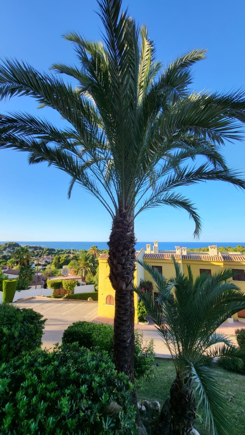 Duplex apartamento para 6 personas en Parque Dénia Apartment in Marina Alta