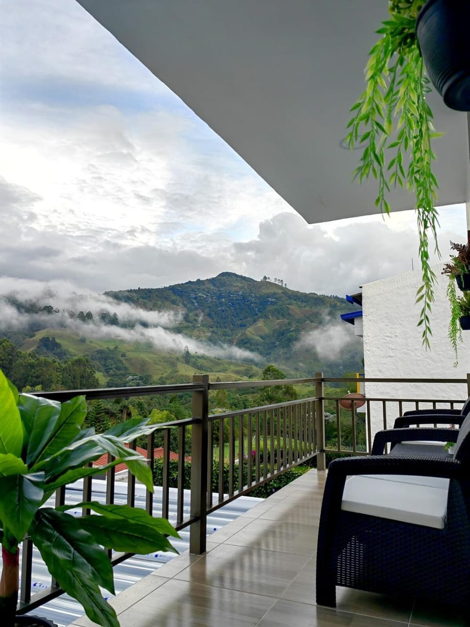 Mountain view