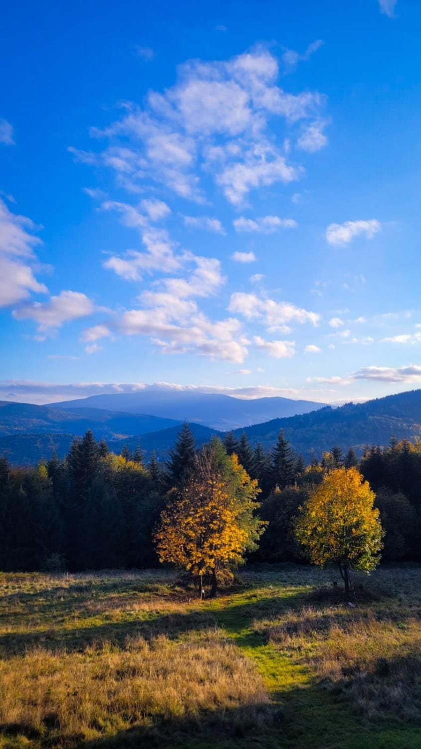 Natural landscape, Garden, Balcony/Terrace, Hiking, Autumn, Mountain view