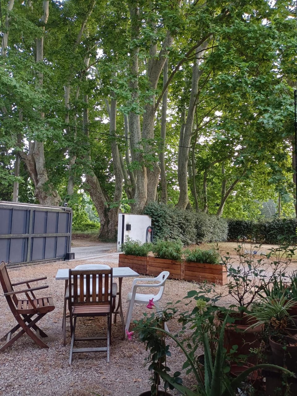 Maison avec jardin arboré House in Villeneuve-lès-Avignon