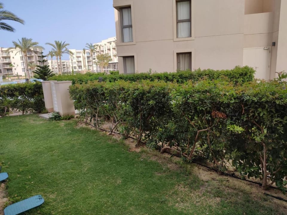 Garden, Garden, Garden view
