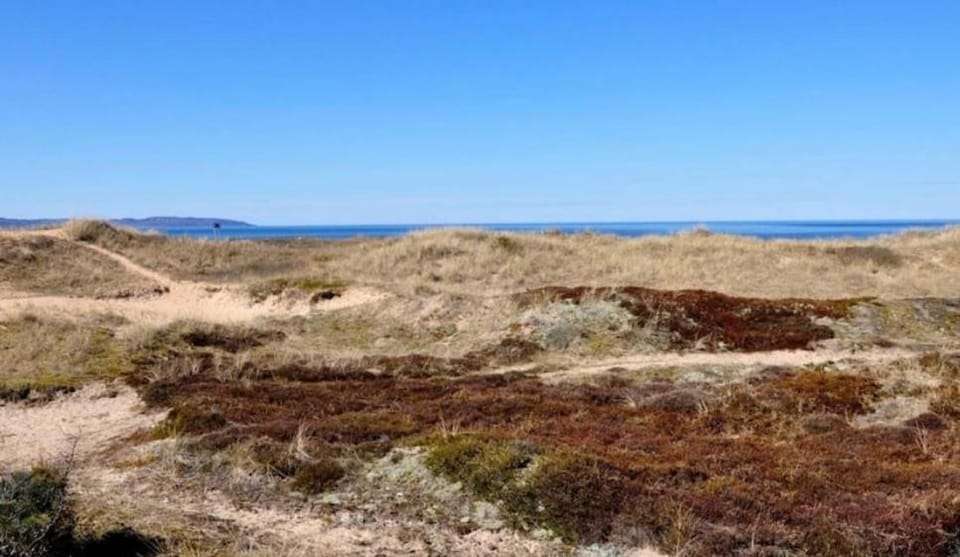 Natural landscape, View (from property/room), View (from property/room)