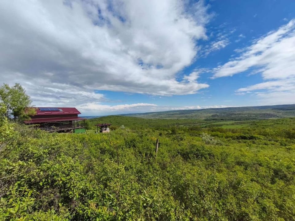 Căsuța din Deal Villa in Moldova