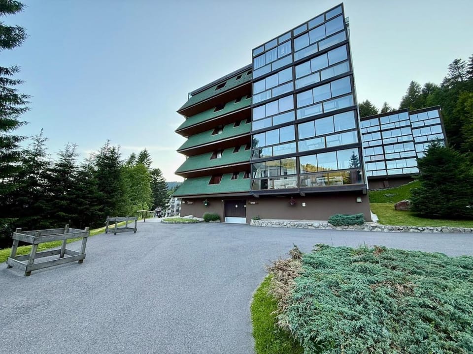 Appart 313, au pied des pistes de ski avec superbe vue Apartment in La Bresse