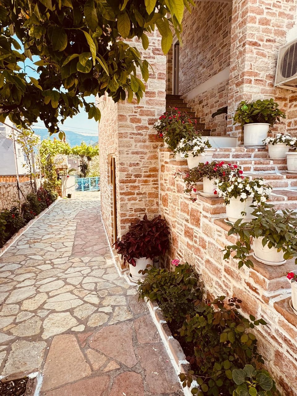 Property building, Garden, Garden view