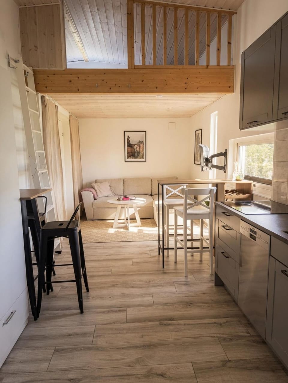 Kitchen or kitchenette, Living room, Photo of the whole room, Seating area