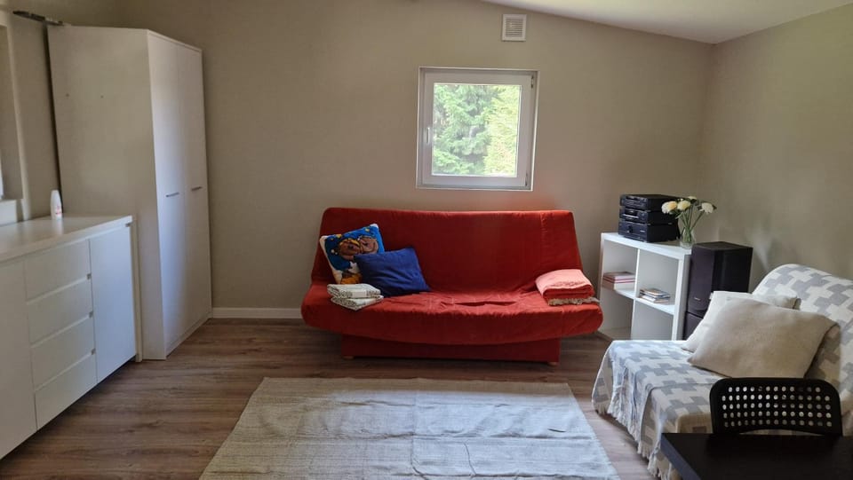 Living room, Photo of the whole room, Bedroom