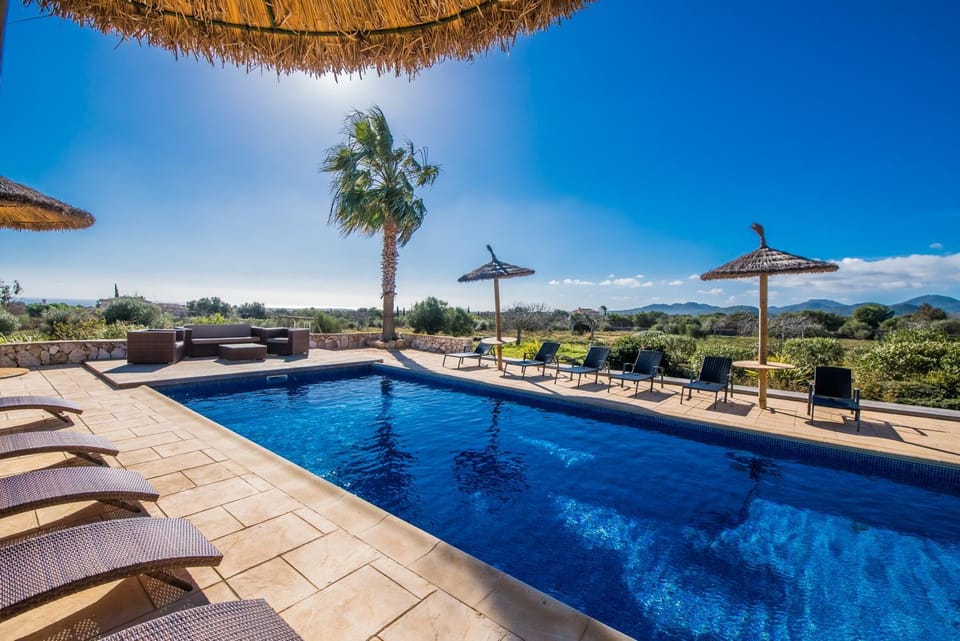 Day, Pool view, Swimming pool, sunbed