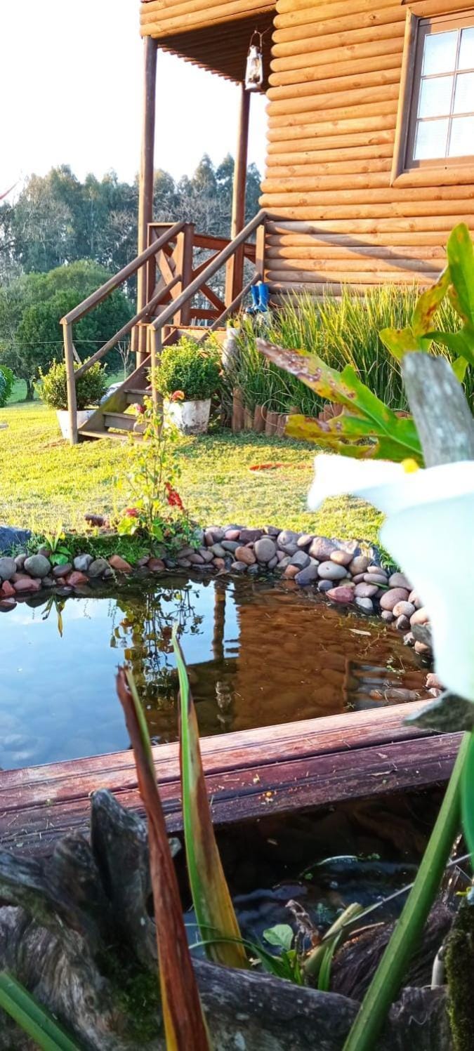 Natural landscape, Garden view