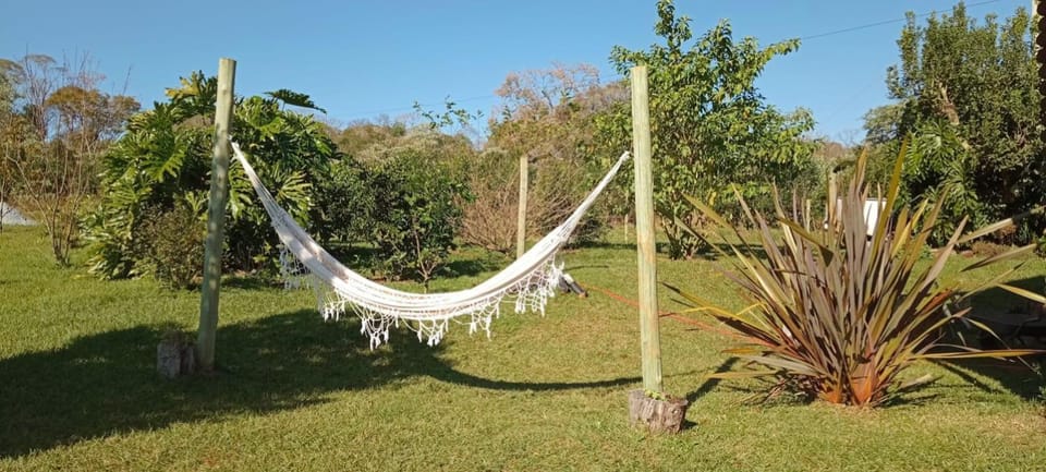 Natural landscape, Garden, Garden, Garden view