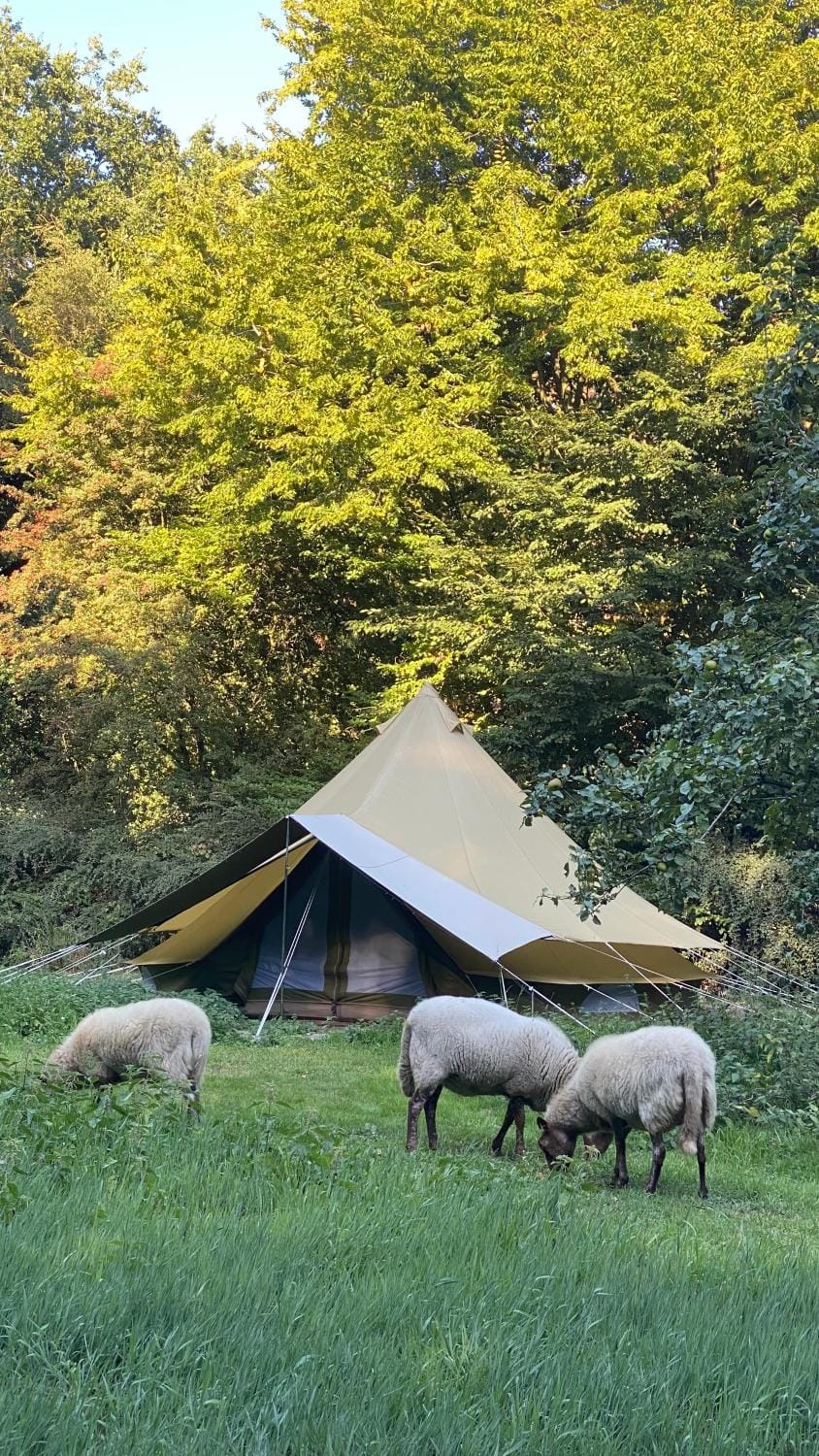 SENSI - glampingtenten midden in de bossen Luxury tent in Flanders