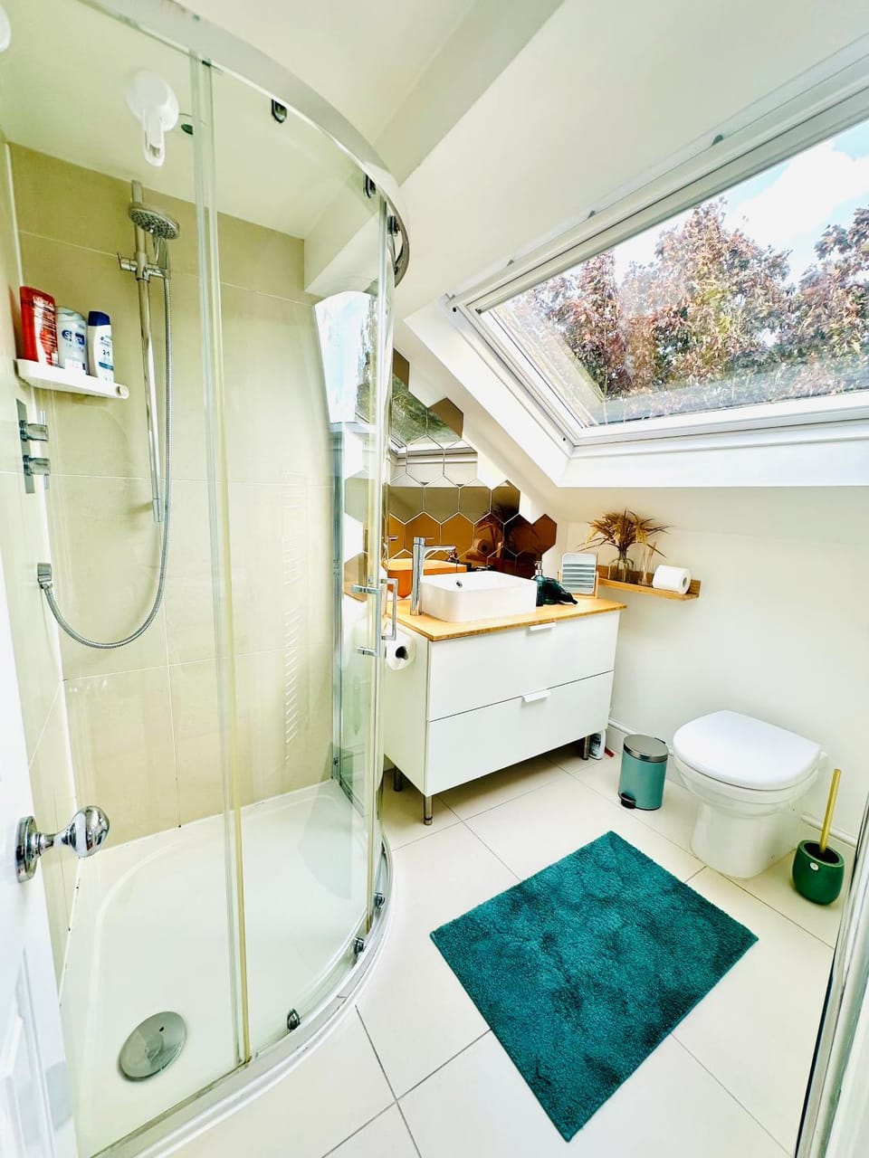 Shower, Toilet, Bathroom