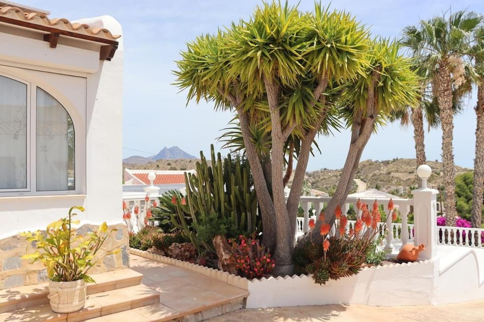 Garden, Garden view