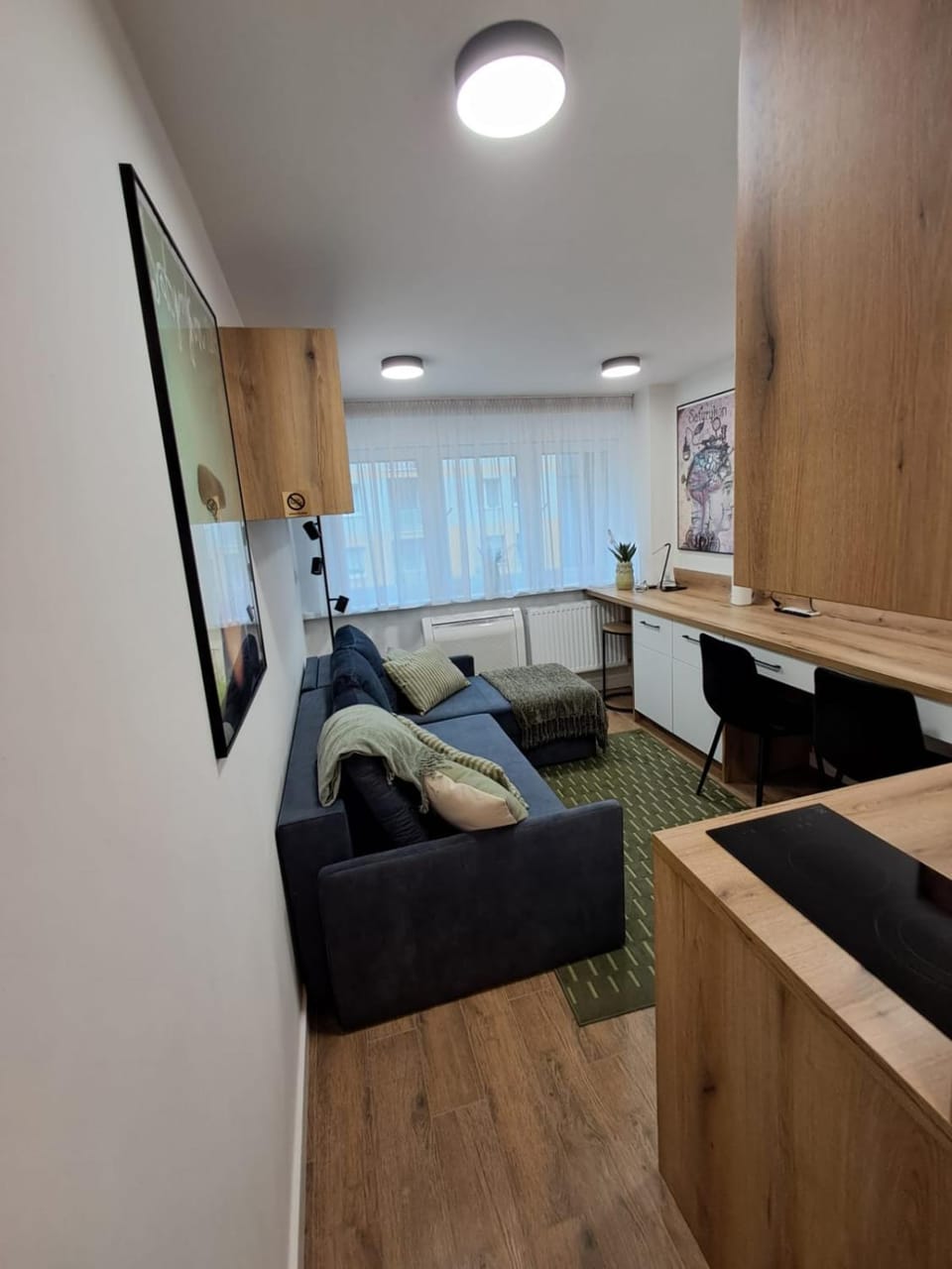Bed, Living room, Photo of the whole room, Seating area