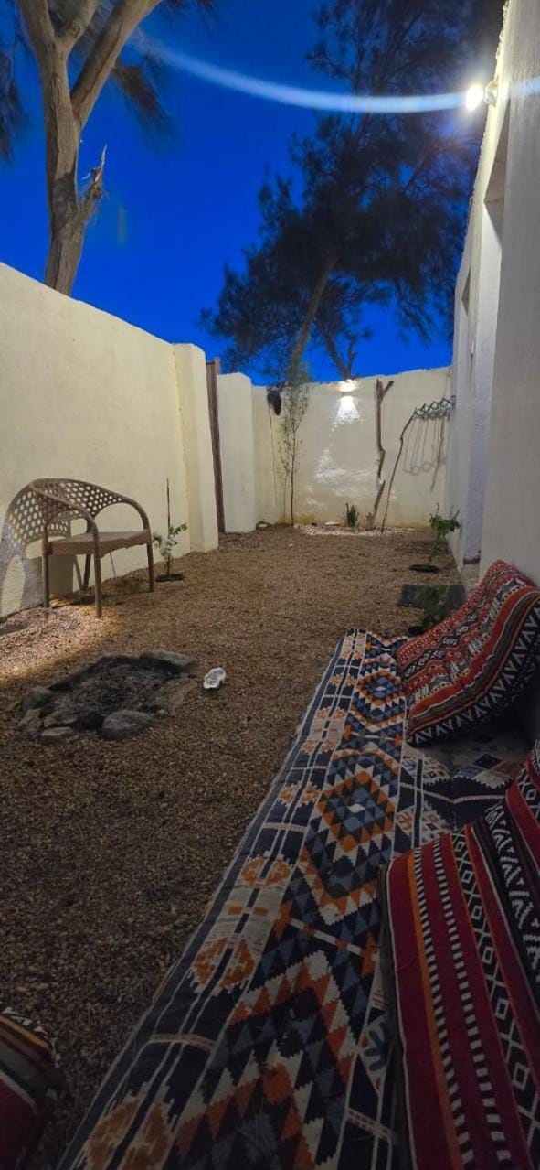 Patio, Night, Natural landscape, Seating area