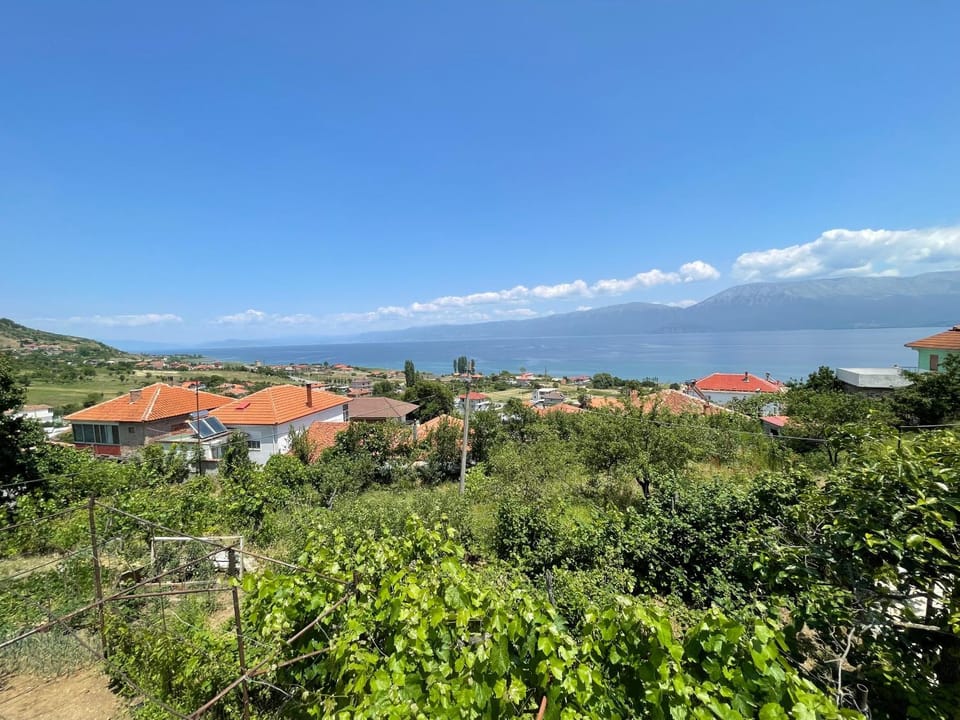 Lake view