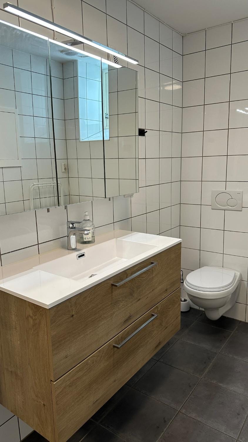 Toilet, Bathroom, bidet
