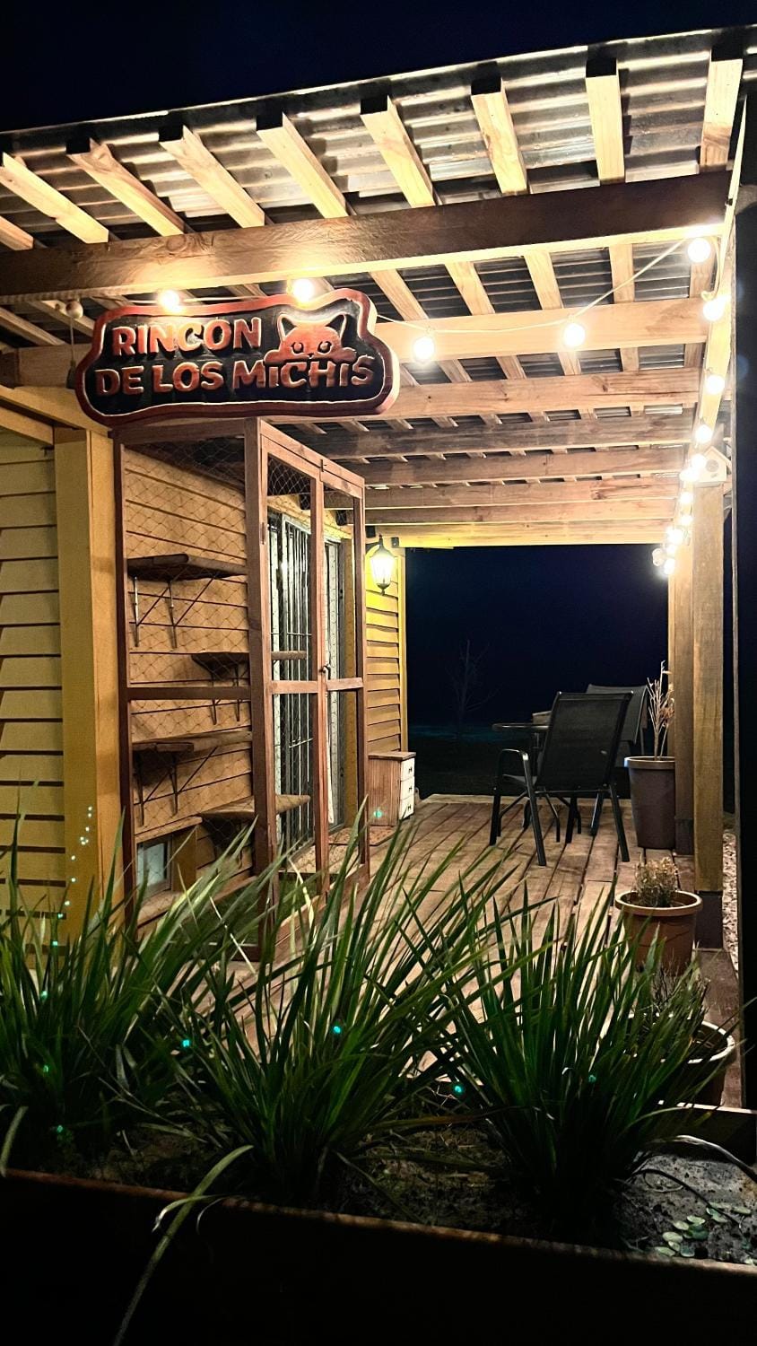 Property building, Night, BBQ facilities