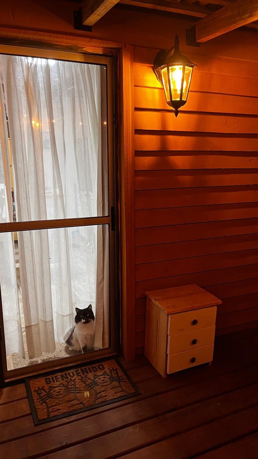 Property building, Night, Pets