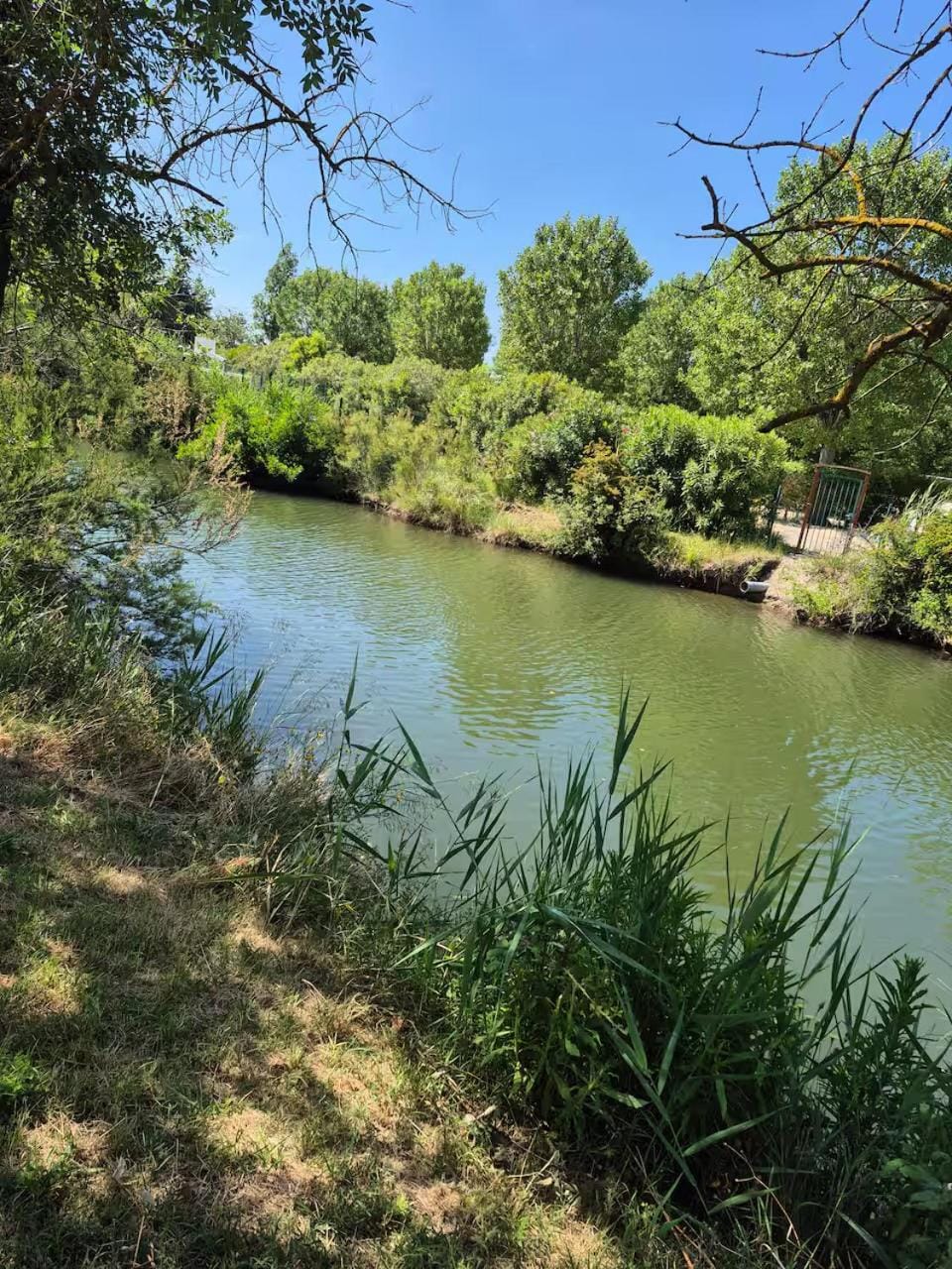 Spring, Day, Natural landscape, Lake view, River view