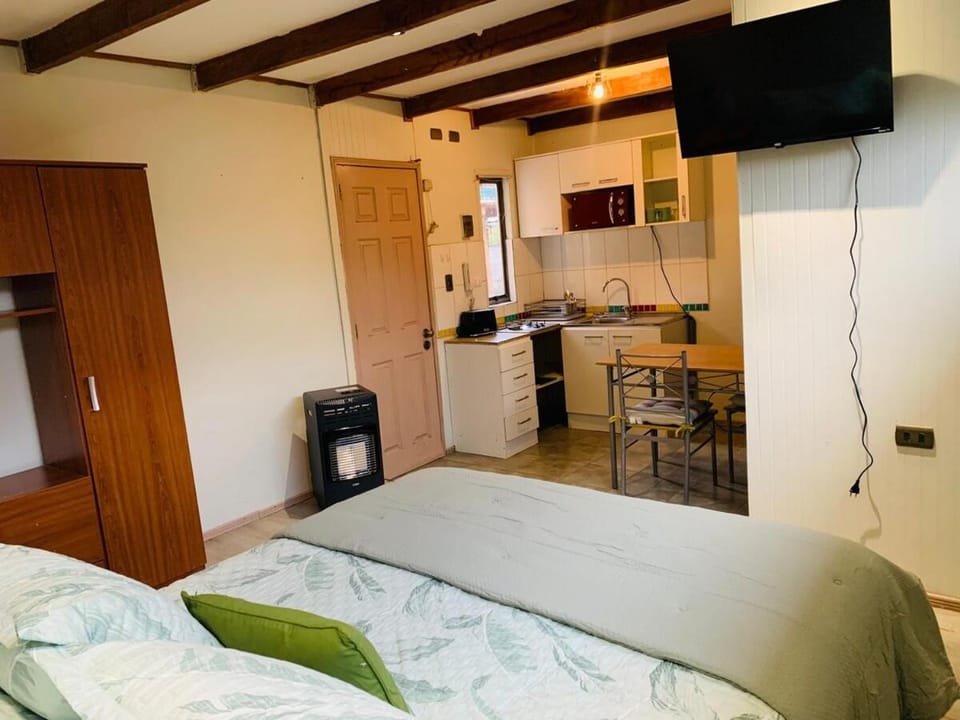 Acogedor céntrico loft Apartment in Araucania, Chile