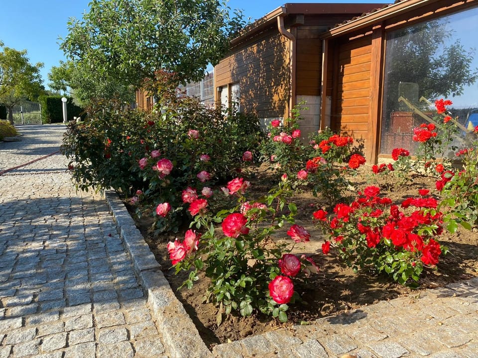 Garden, Garden view