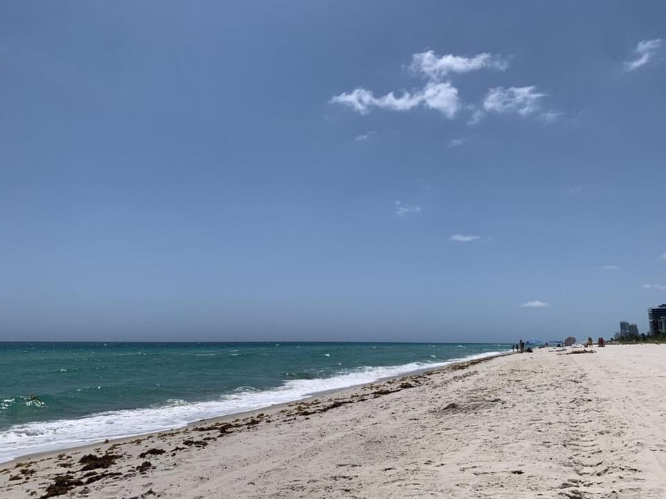 A place that will make you want to come back again Apartment in Surfside