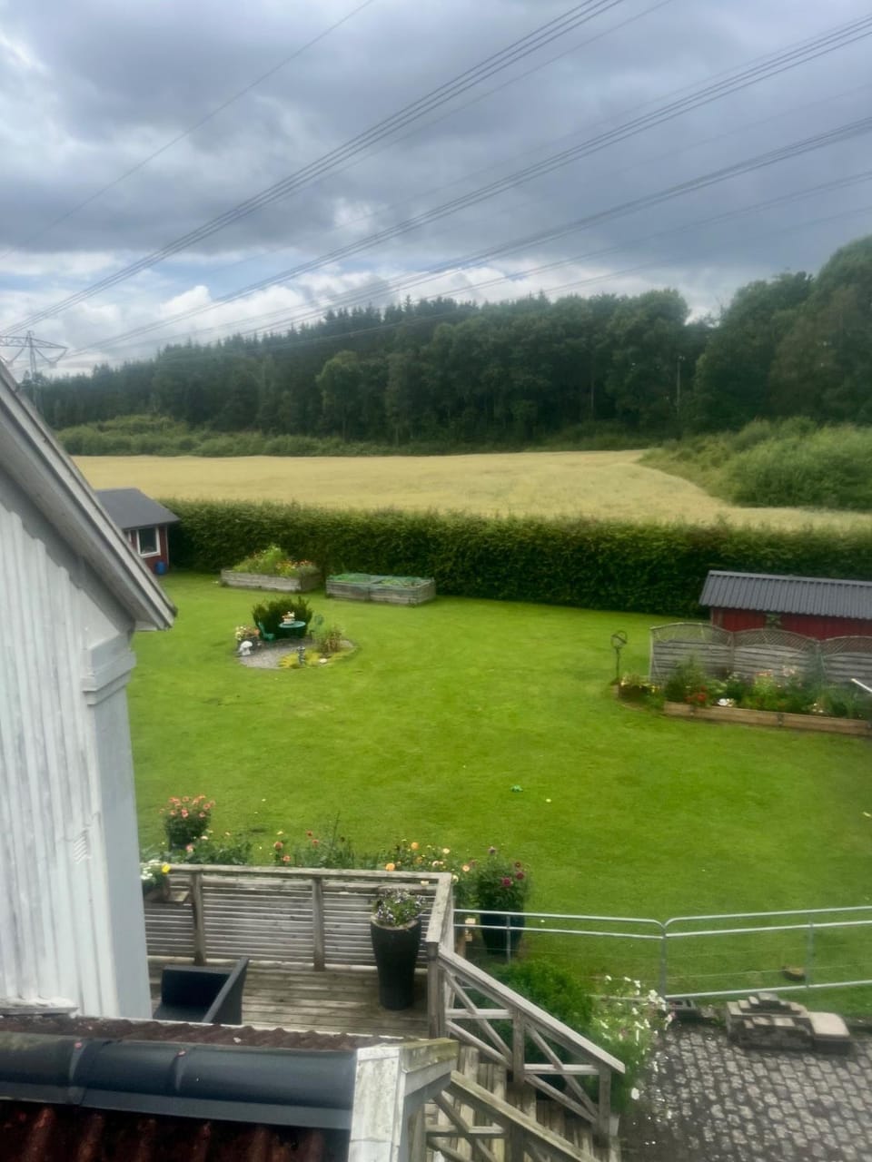 Garden view