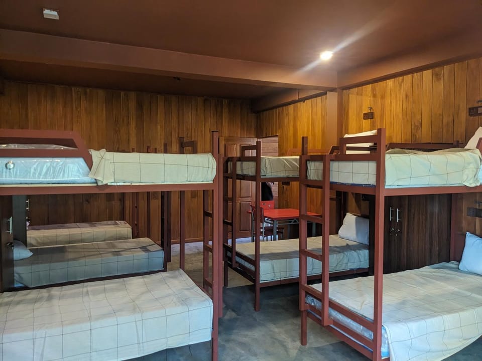 bunk bed