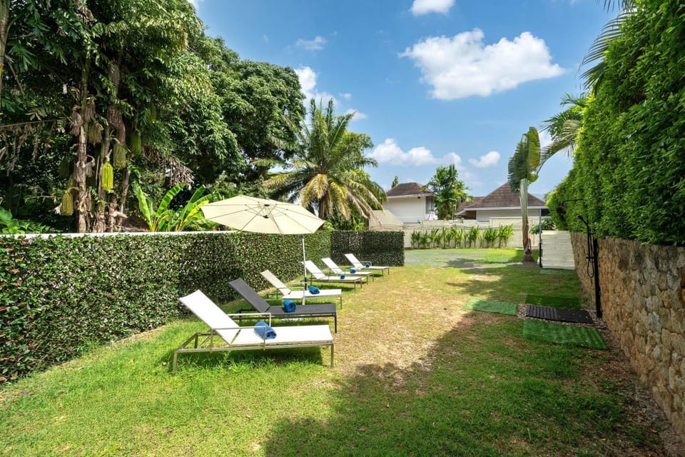 Day, Natural landscape, Garden, Garden, Balcony/Terrace, sunbed