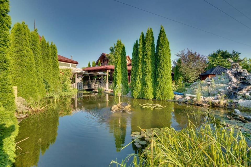 Lake view
