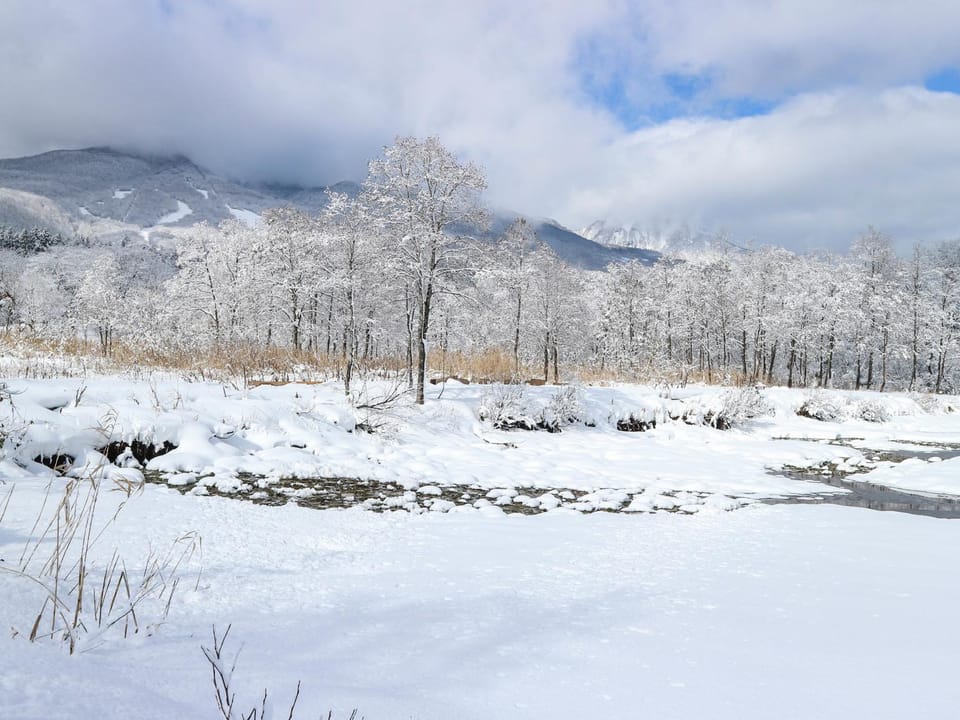 Natural landscape