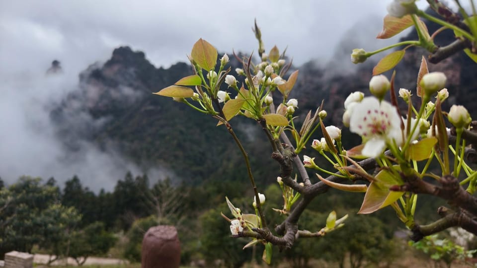Spring, Day, Natural landscape, Mountain view