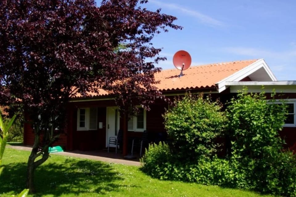 Property building, Garden, Garden