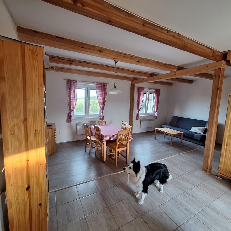 Apártmány Sedlec Apartment in South Moravian Region