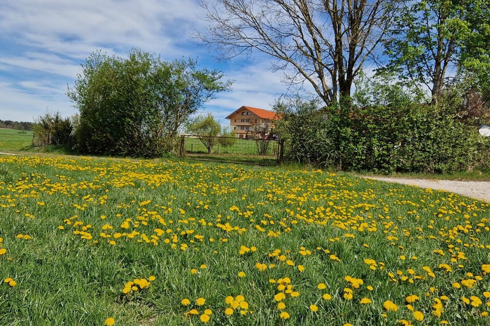 Stadlerhof Alpen- & Seeblick Apartment in Berchtesgadener Land