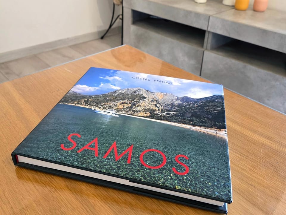 Leo Di Mare Apartment in Samos, Greece