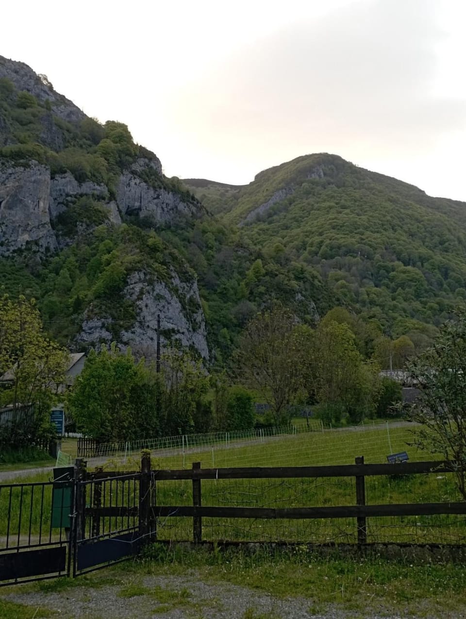 Mountain view