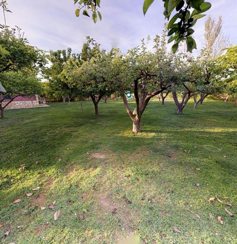 Garden, Garden