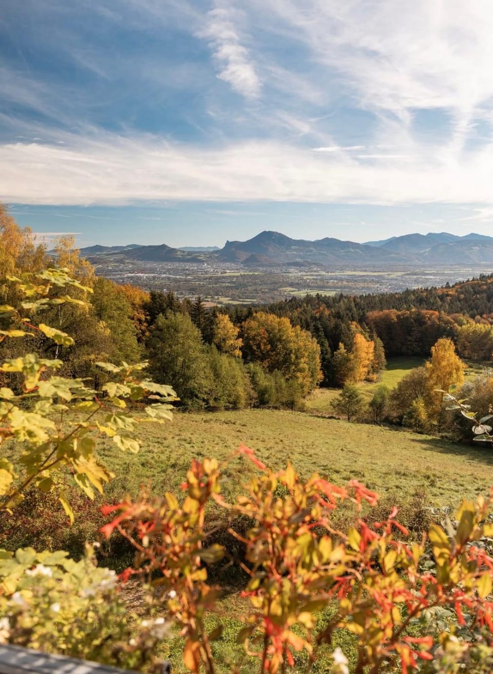 Mountain view