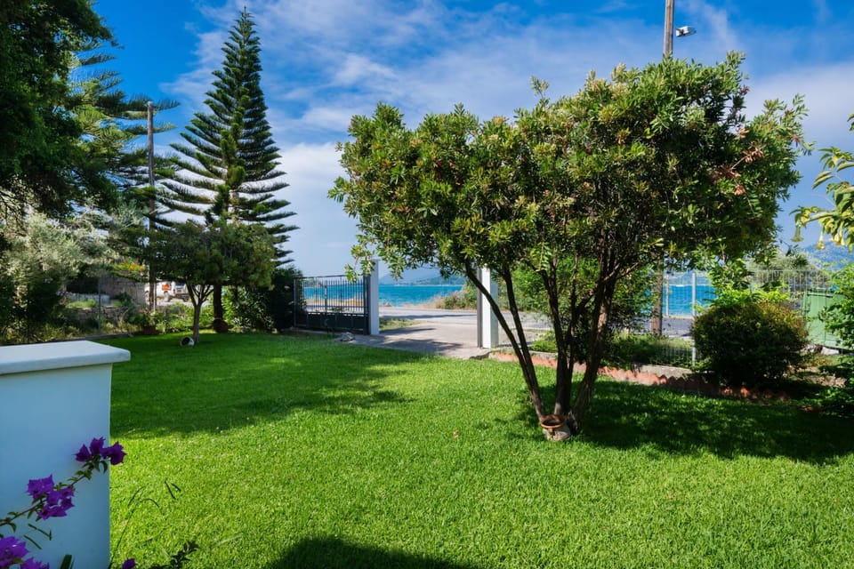 Natural landscape, Garden, Garden, Sea view