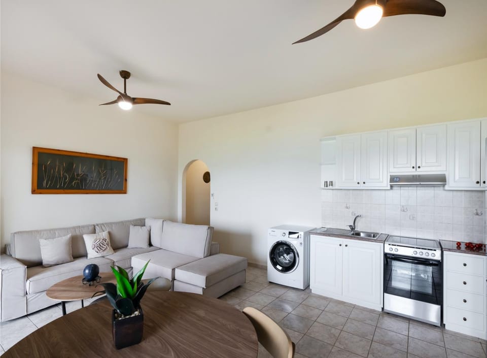 Kitchen or kitchenette, Living room, Seating area, Dining area, oven, stove, washing machine