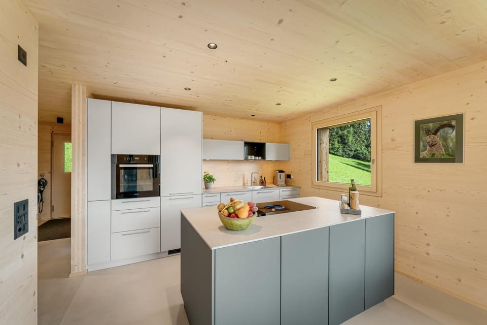 Mountain view, dishwasher, oven, kitchen