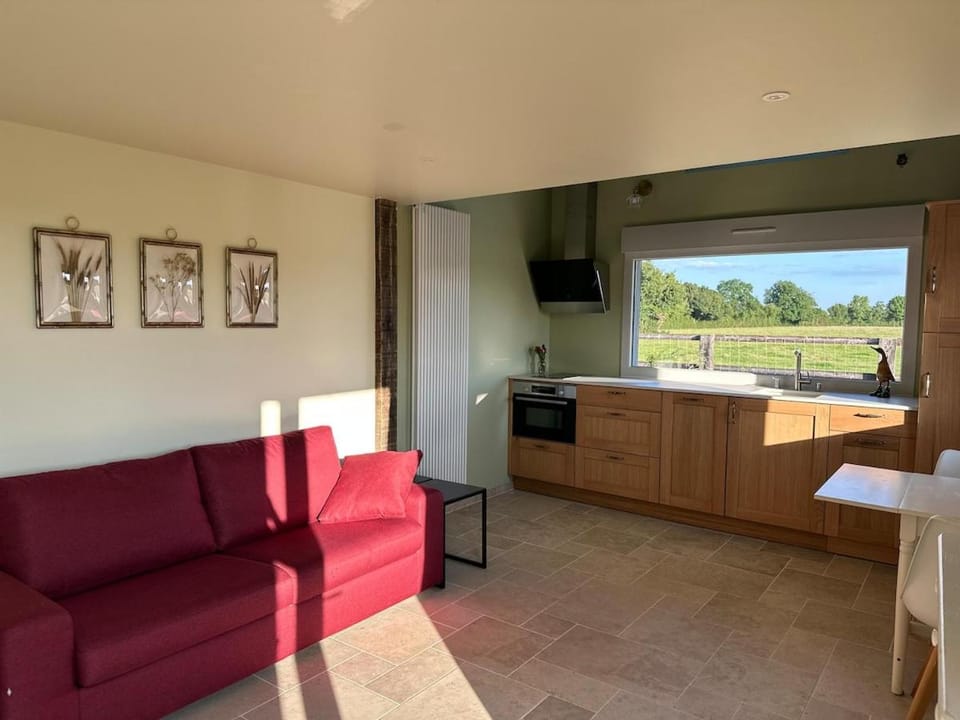 Living room, kitchen