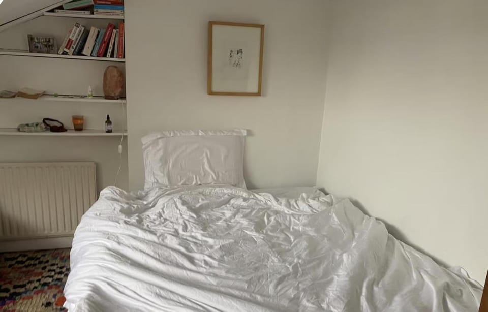 Whole flat Stoke Newington Apartment in London Borough of Hackney