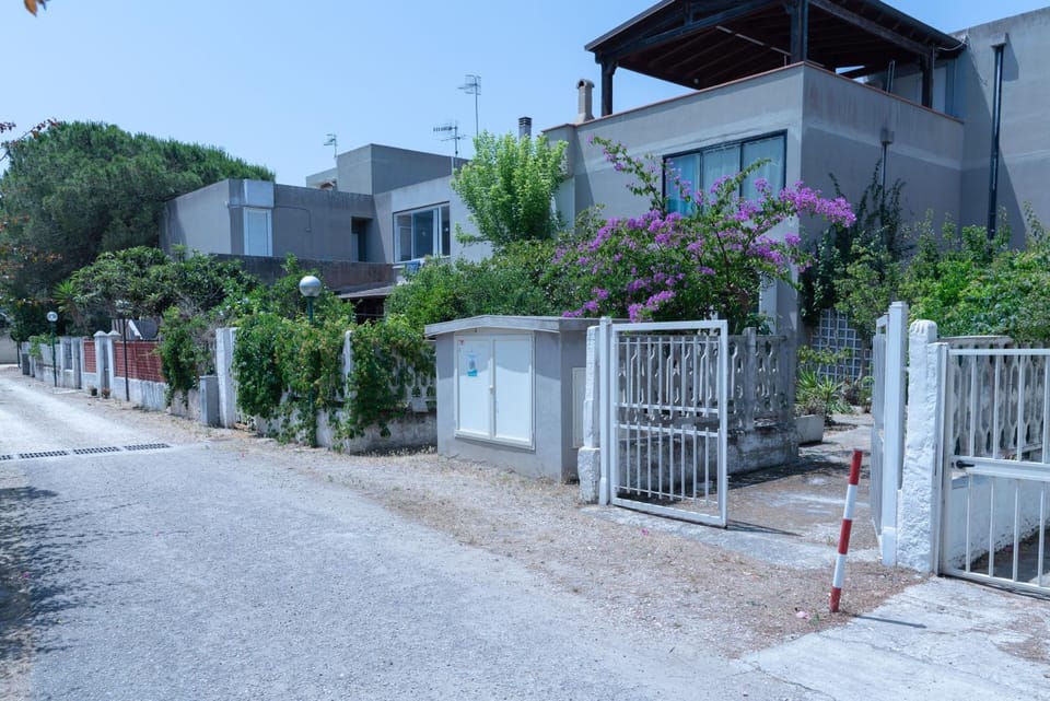 Day, Neighbourhood, Garden, Garden view, Street view