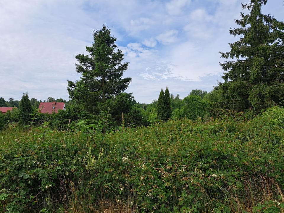 Day, Natural landscape