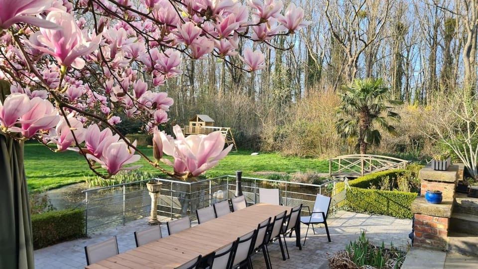 Patio, Garden, Garden view